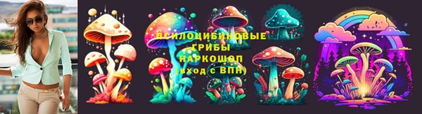 МДПВ Богородицк