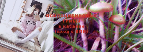 ешки Богородск