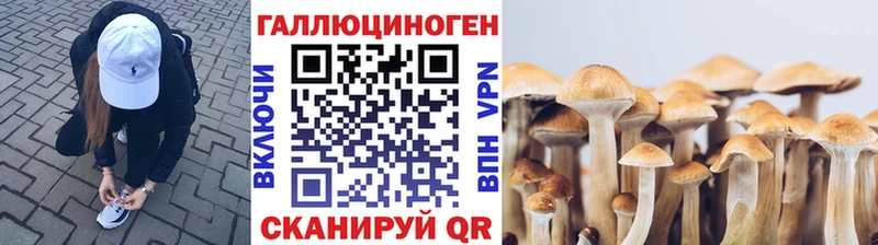 Галлюциногенные грибы мухоморы  KRAKEN как зайти  Ковылкино 